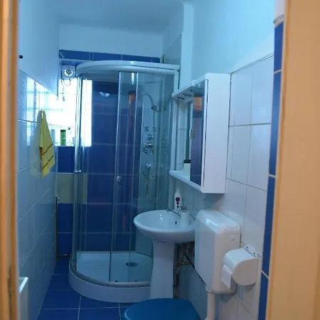Homestay Oana Brasov